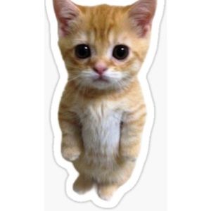 Meet your Posher, Alizee